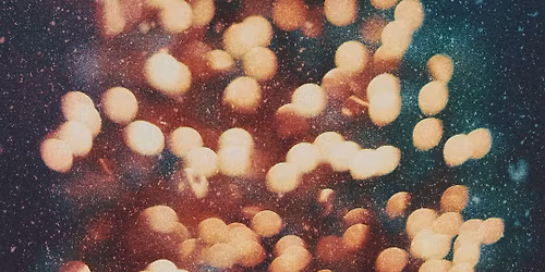 Christmas Eve Experience 