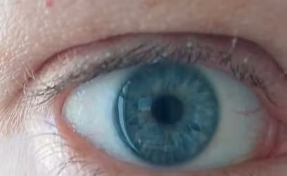 Conte & Compagnies : 84 !