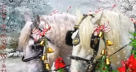 Holiday Potluck Party