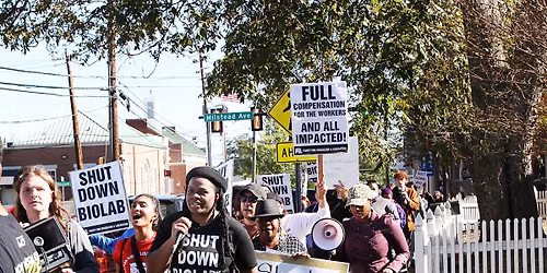 Monthly Action Meeting