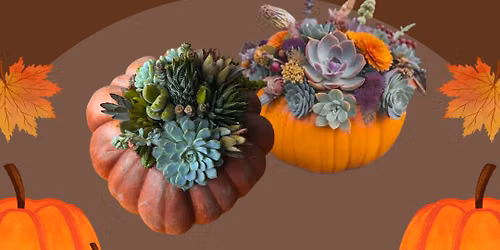 Pumpkin & Succulent Centerpiece Workshop