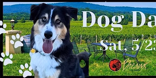 Dog Days - Spring 2026