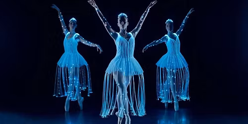 Ballet of Lights: Sleeping Beauty in a Sparkling Show