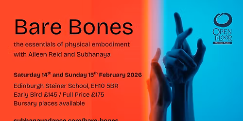 Bare Bones: the essentials of physical embodiment