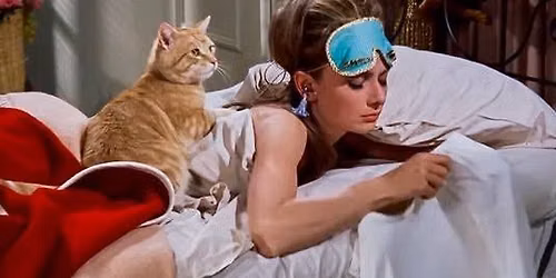 Nemzetk\u00f6zi macskanap: \u00c1lom luxuskivitelben \/ Breakfast at Tiffany's