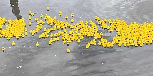 Annual Charity Duck Race plus stalls