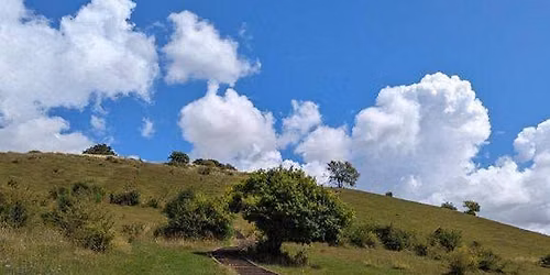 Winchester and St Catherine's Hill evening walk. 7pm 24th June