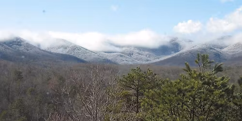 Winter Painting: Finding Beauty in the Cold Months