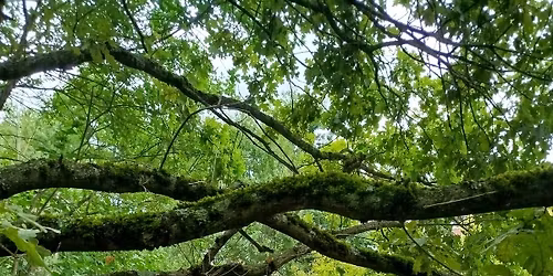 Langwasser Guides - M\u00e4rzfeld von 1900 bis Heute