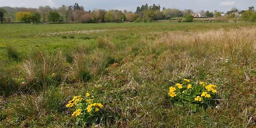 Nature Reserve Work Party- Ail Meadows
