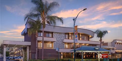 Parking Bad Decisions Annual Christmas Extravaganza