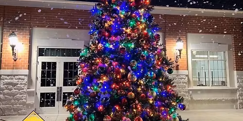 Annual Christmas Tree Lighting