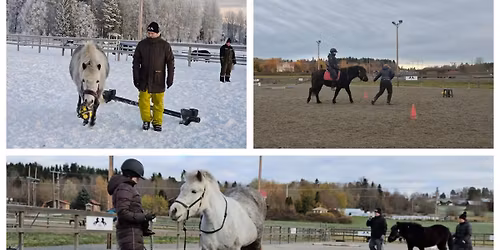 Kurshelg med Malin Sch\u00f6n