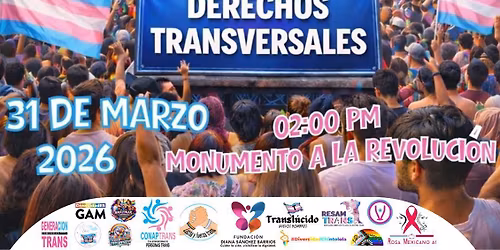 5a MARCHA DE LA VISIBILIDAD TRANS EN MEXICO