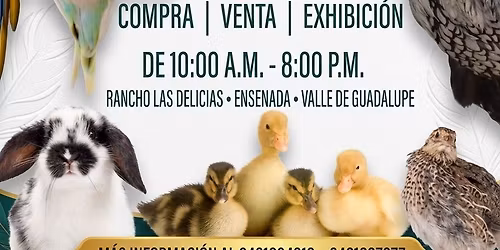 Expo Aves 2026