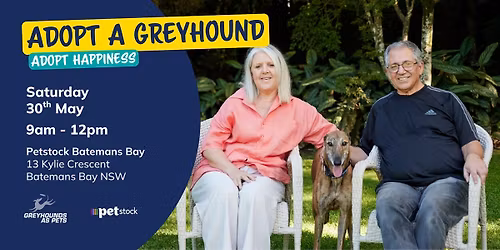 Greyhound Adoption Day at Petstock Batemans Bay
