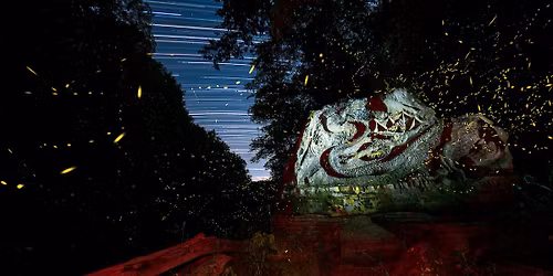 Let's Get Ready for Firefly Season