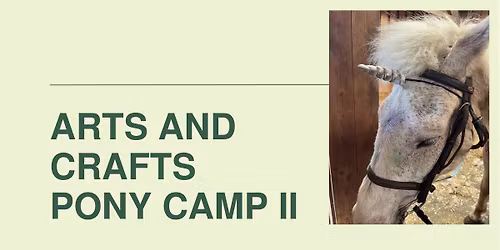 Arts and Crafts pony camp II