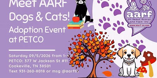 Meet AARF Dogs & Cats - September 5 Adoption Event at Petco