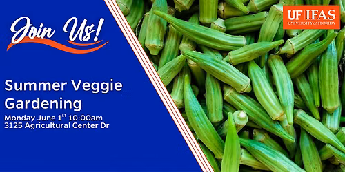 Summer Veggie Gardening