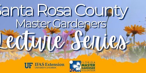 The Basics of Pollinator Gardening