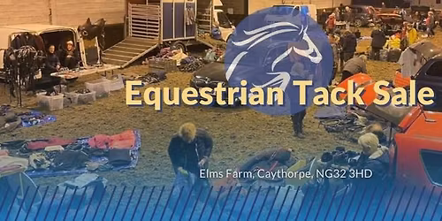 Equine CAR BOOT Sale