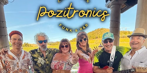 Concerts in the Park-Pozitronics