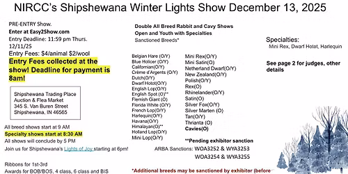 NIRCC's Shipshewana Winter Lights Show