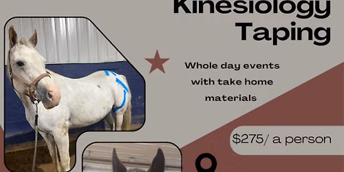 Equine Kinesiology Taping Clinic