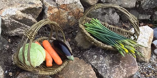 Willow Workshop - Foraging\/Irish Trug