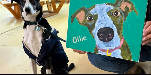 Paint and Paws