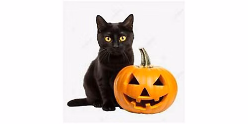 Black Cat and Jack-o'-Lantern Painting | Cheryl Bielli, instructor