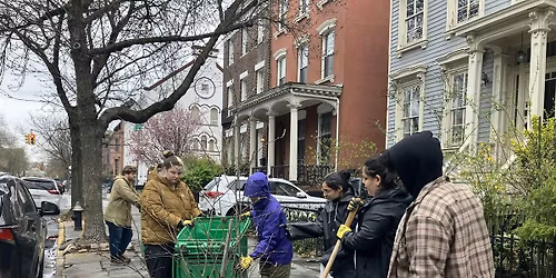 Street Tree Care w Brooklyn Heights Association
