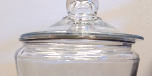 Found Objects Terrarium Make and Take