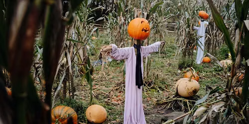Hallowe'en at Ulster American Folk Park