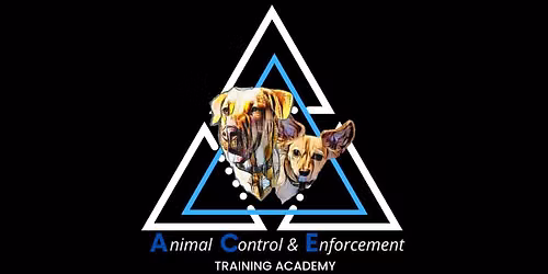 Understanding Animal Control: A Rescuer's Guide to Systems, Law, and Effective Advocacy