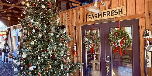 Holiday Farmers Market and Pet Adoptions