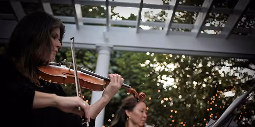 Chamber Music Series