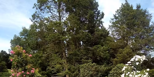 Jeffrey's Inaugural Open Mat Event