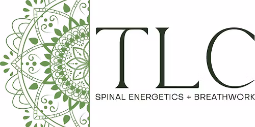 Group Spinal Energetics & Reiki