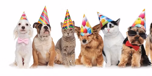 Party 4 Paws Pet Fair