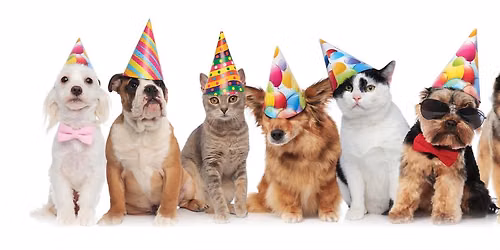 Party 4 Paws Pet Fair