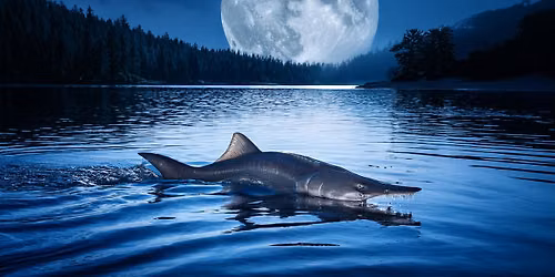 Sturgeon Full Moon