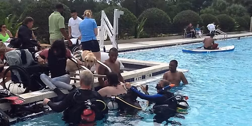 Volunteering at The Family Caf\u00e9 Orlando - SCUBA Pool and Expo for People with Disabilities