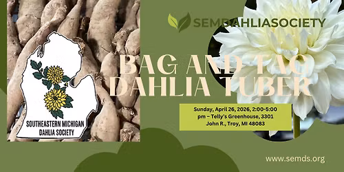 Bagging and Tagging dahlia tubers