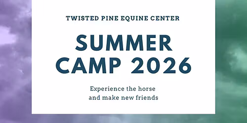 All Things Horses Camp