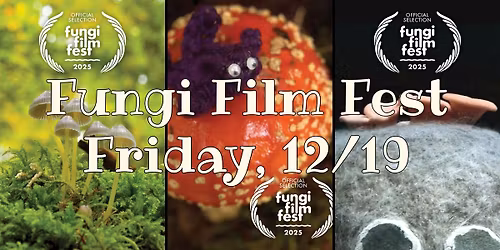 Fungi Film Fest