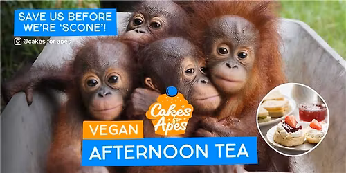 Cakes for Apes Afternoon Tea