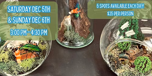 Bug Pinning & Display Class - December 2026