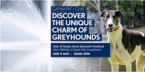 PAT + Chat at the Avon Descent Festival (Caversham)